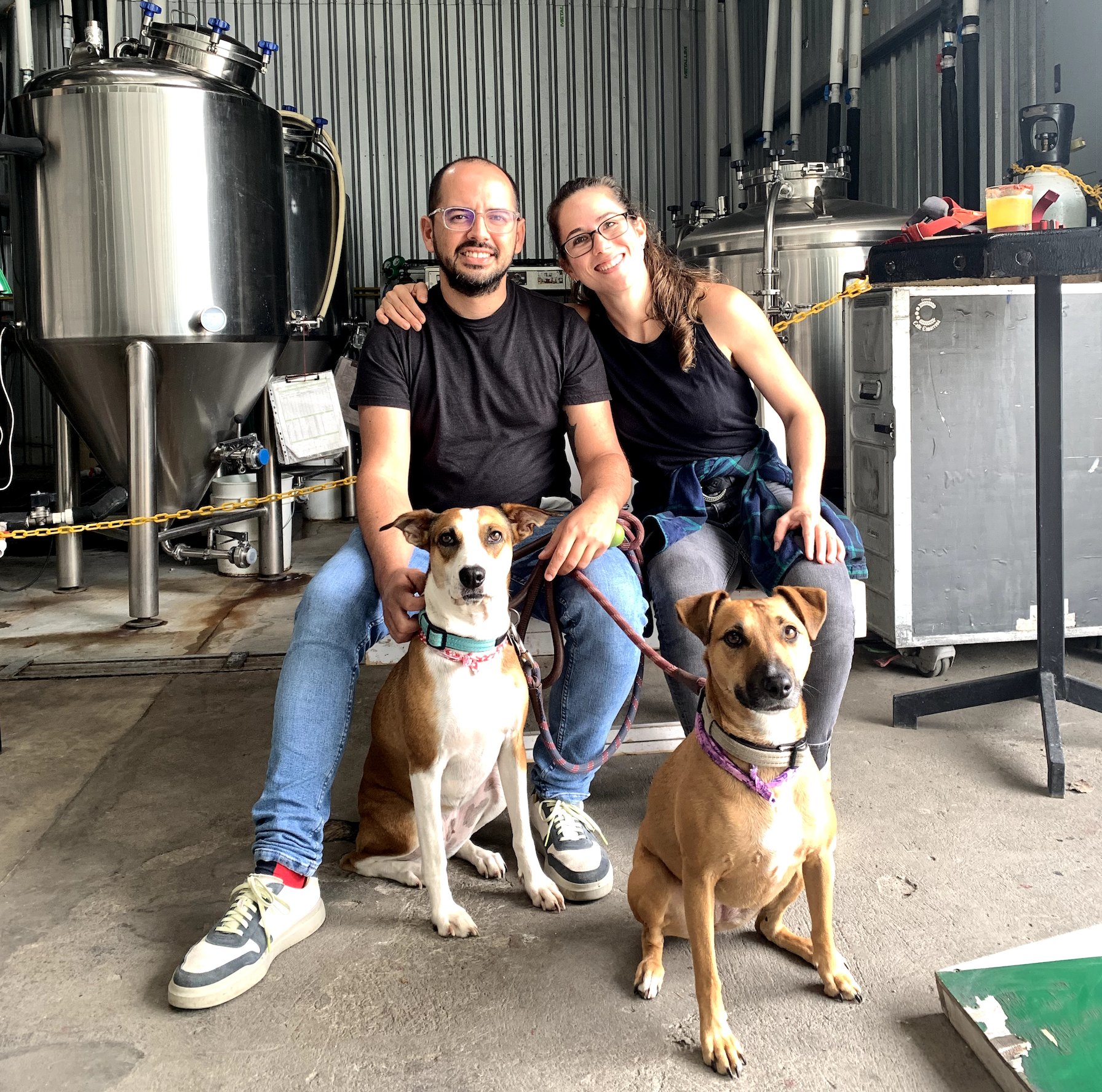 Screen Shot 2023-03-02 at 3.49.09 PM